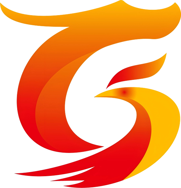 浙江宏观科技有限公司 Logo